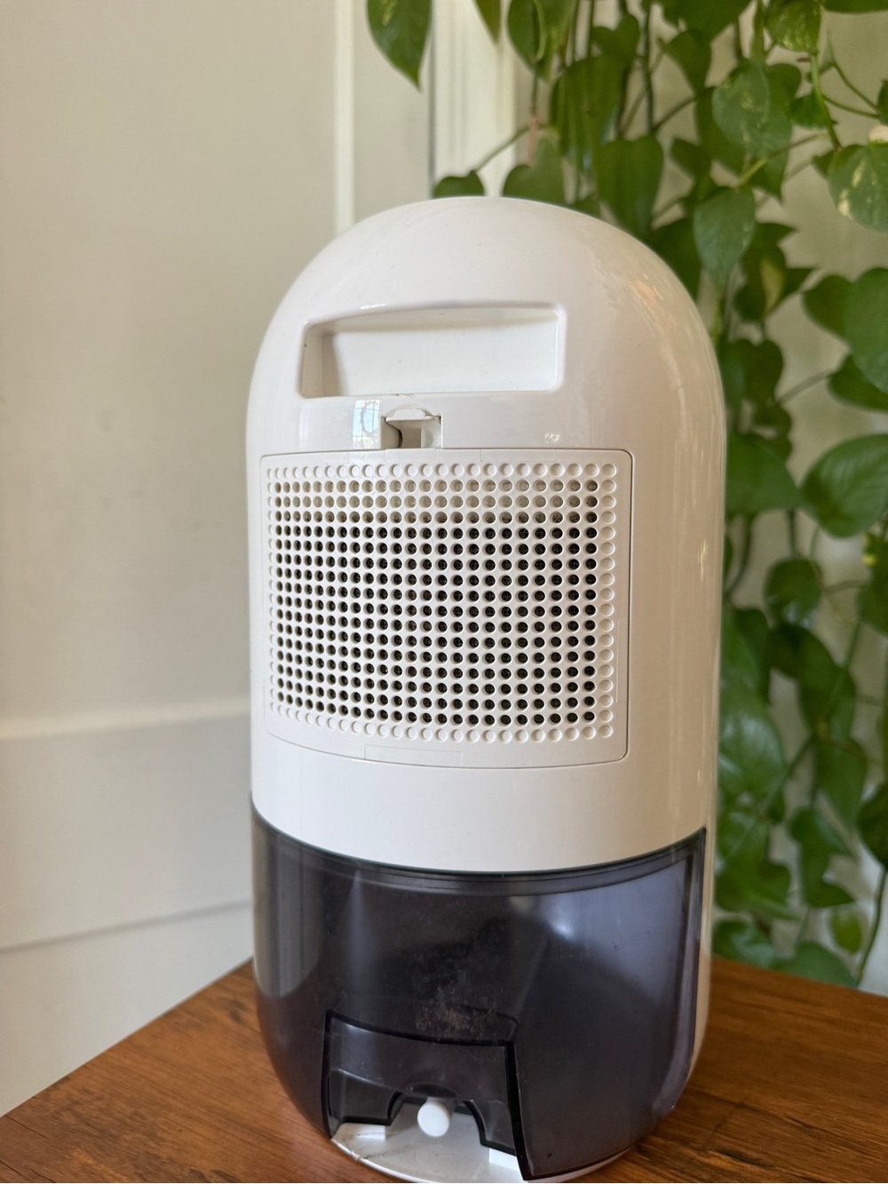 Makayla White Portable Humidifier / Diffuser - Picture 9 of 13